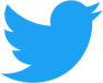 twitter_bird_logo_2012