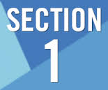 section1