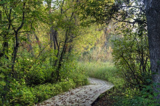 15183145147_92765e1f89_o_2